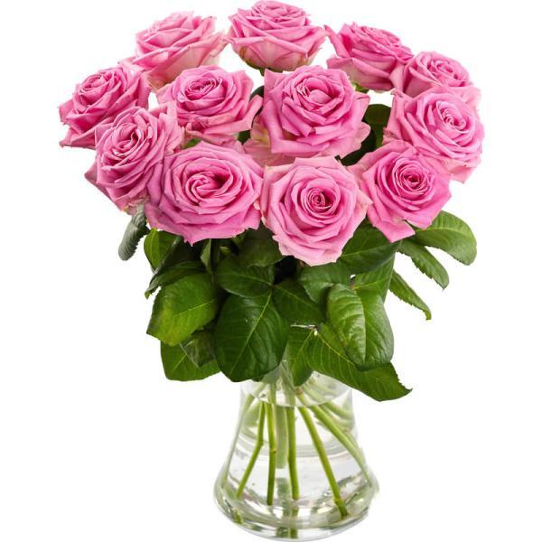 12 Pink Roses